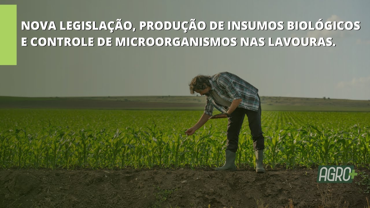 VOCÊ SABE O QUE SÃO OS INSUMOS BIOLÓGICOS?