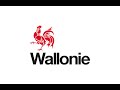 Driving in the countryside of Wallonia, Belgium. #driving  #countryside #wallonie #Belgium