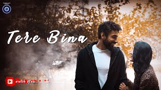 Parth Saini - Tere Bina feat. Sandesh | Official Video | Rahul Makin, Jyoti, Mridul Madhok chords