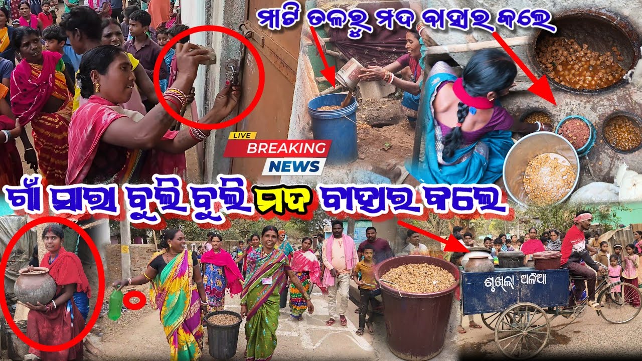 ମାଟି ତଳରୁ ମଦ 🍺 ବାହାର କଲେ 🚭 || ଗାଁ ସାରା ବୁଲି ବୁଲି ମଦ ବାହାର କଲେ ଗ୍ରାମବାସୀ 😱 || Drinking Bane in Odisha