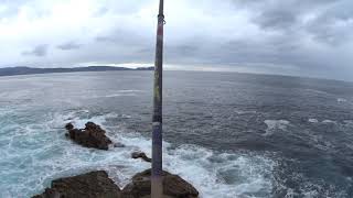 Sargos a corcho