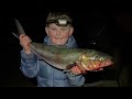 Australian salmon hot bite at swansea channel with a young gun fisho Owen John.