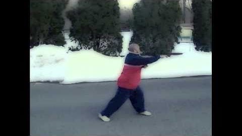 七星螳螂 7 Star Praying Mantis 螳螂步旋 / 螳螂捕蟬 Tong Long Bo Suen Kyun