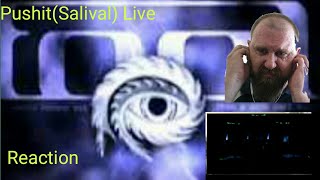 Tool - Pushit(Salival)(Live with Lyrics)(Reaction)