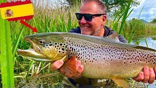 Angeln im EBRO Gebiet| SECRET Spots entdecken!😱