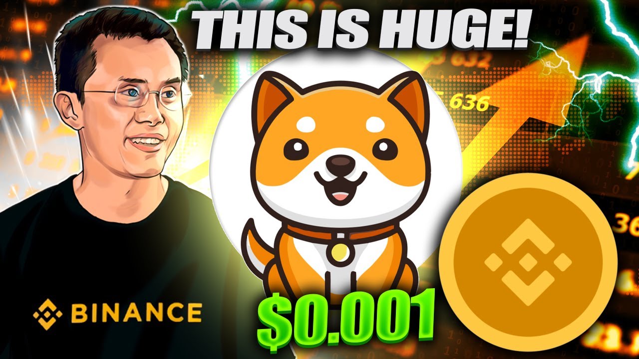 WHAT BINANCE CEO JUST SAID ABOUT BABY DOGE COIN 🚨🚨🚨 HOLDERS GET READY! BABY DOGE PRICE PREDICTION