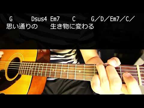 【ギター】 ハネモノ / スピッツ  初心者向け コード
