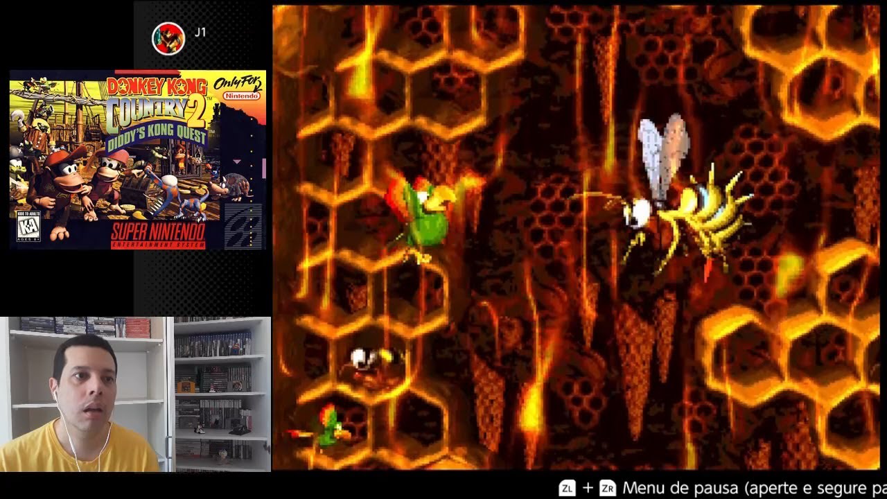 Donkey Kong Country 2 - King Zing Sting