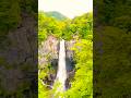 Where the water falls , peace follows #shorts #foryou #nature #youtubeshorts