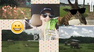 Vlog:Safari park,West Plam Beach,Florida.