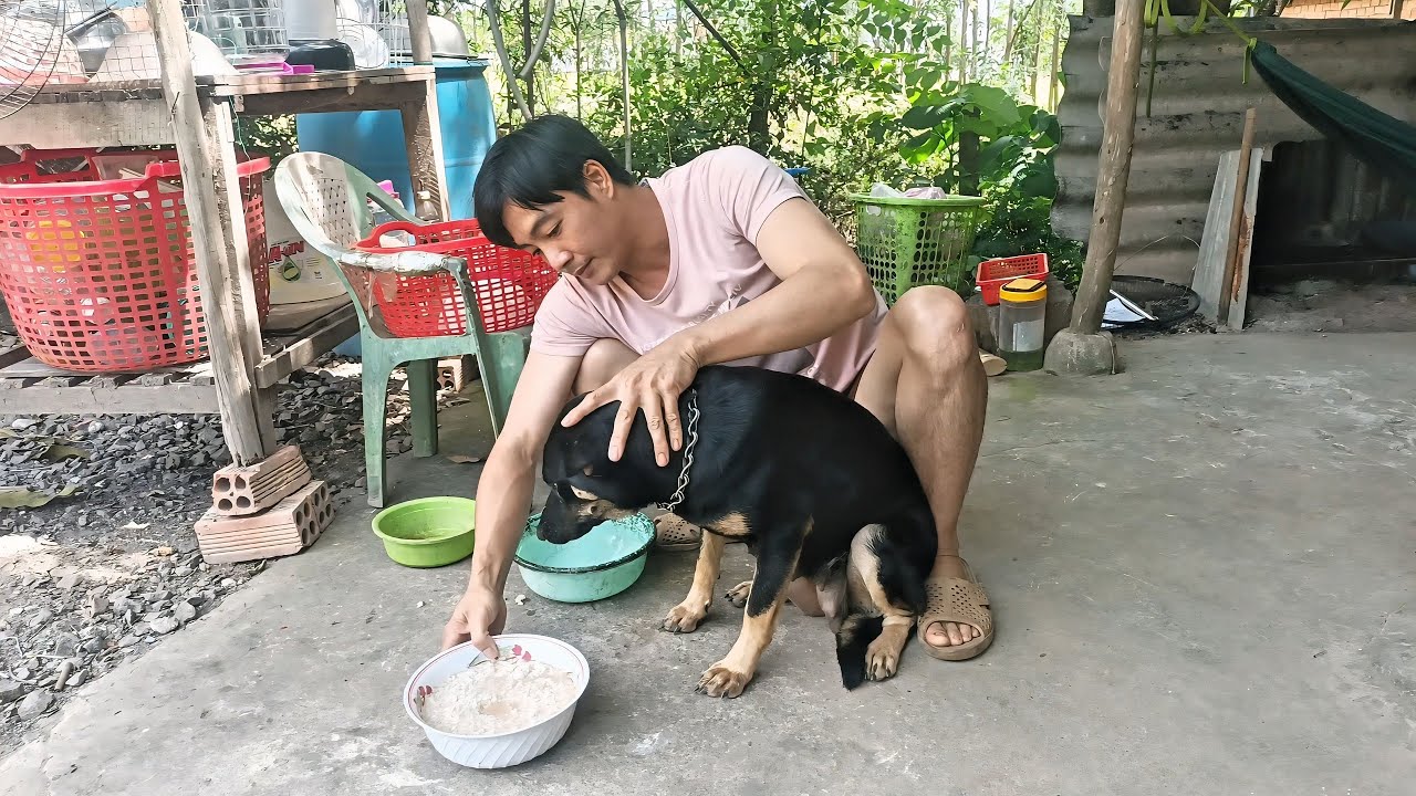 Ở nhà mùng 3 tết sẽ làm những gì?