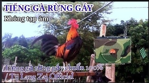 Tiếng gà rừng Gáy chuẩn nhất năm 2023- Suab qaib qus qua zoo tiag tiag. dib tuaj 100%