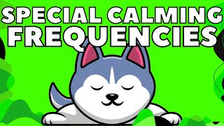 Dog Calming Frequency 3