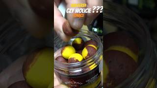 Co wybierzecie? #shorts #karp #baits #skleptrotka #dudibaits #fishing #shopping Co wybierzecie? #shorts #karp #baits #skleptrotka #dudibaits #fishing #shopping