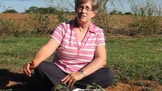 Carol Wallace Pumpkin Patch 2010.wmv