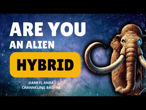 Bashar S Insight On ALIEN ABDUCTIONS Human DNA And Hybrid Species Channeled By Darryl Anka 