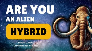 Bashars Insight On Alien Abductions, Human Dna, And Hybrid Species Channeled By Darryl Anka