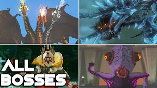 Zelda: Tears Of The Kingdom - All Bosses And True Ending
