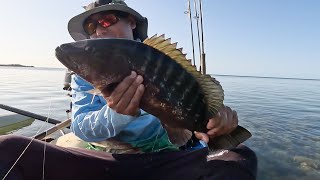 Mullet Chunks and Mangroves.  Oh Yea... AATB Weighted Circle Hook Jigs.