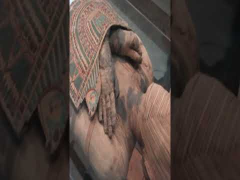 النوم عند القدماء المصريين ما وراء الكون Shorts 