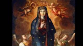 Salve Regina, mater misericordiae - Markus Hoering (part1)