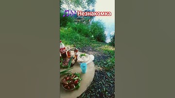Thumbnail of 🎶🎶 Незнакомка .DJ Блокnote.0 3 0 8 2 0 2 5 год