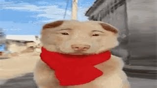 silly memes we laughed at