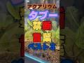 【タブー】アクアリウムで使用してはいけない禁断の掟3選 #shorts #アクアリウム #水槽台 #水槽台 #熱帯魚 #aquascape #aquarium #メダカ #水草