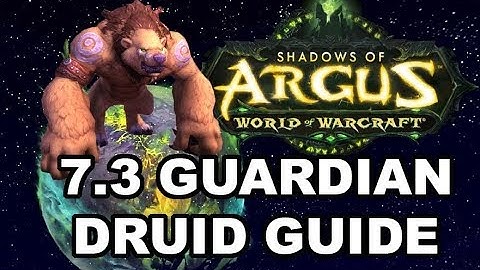 7.3.5 Druid Guide - The Aggressive Guardian