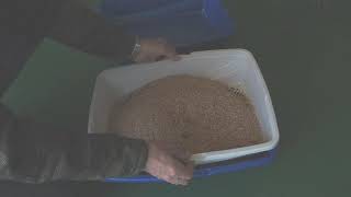 The right way to use a sifting litter pan.