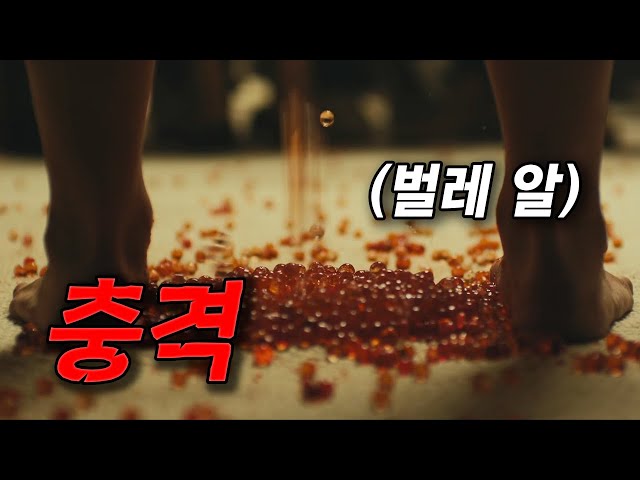 휴양지에서 벌레에 물린 뒤로 알을 낳게 된 여자(영화리뷰/결말포함)(공포영화)