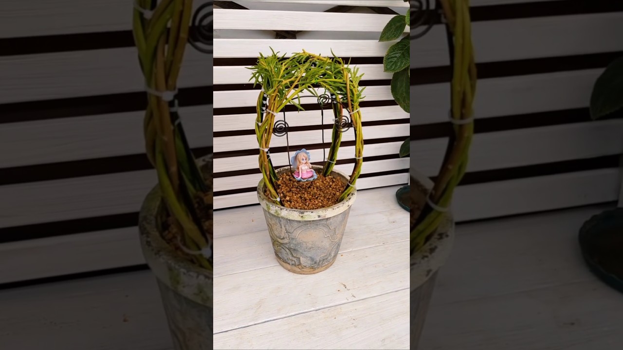 This type style plant decor portulaca flower, mini plant flowers #shorts #viralvideo #plants #diy