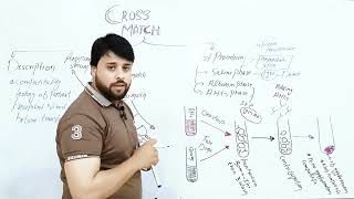 Cross Match Test | Types and Procedure