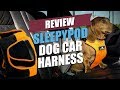 Sleepypod Dog Car Harness Review