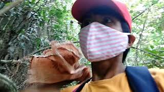 nanguha kami ng linggat(may umepal)