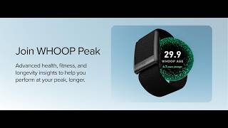 WHOOP 5 0 Review Is This the Ultimate Fitness Recovery Tracker