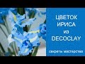 Как слепить ирис. Ирис из полимерной глины, как настоящий. Глина Decoclay. Секреты Fairy Girls