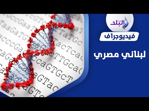 اللبنانيون مصريون بالأساس وهاجروا قبل 1400 سنة مفاجأة كشفها الجينوم المصري
