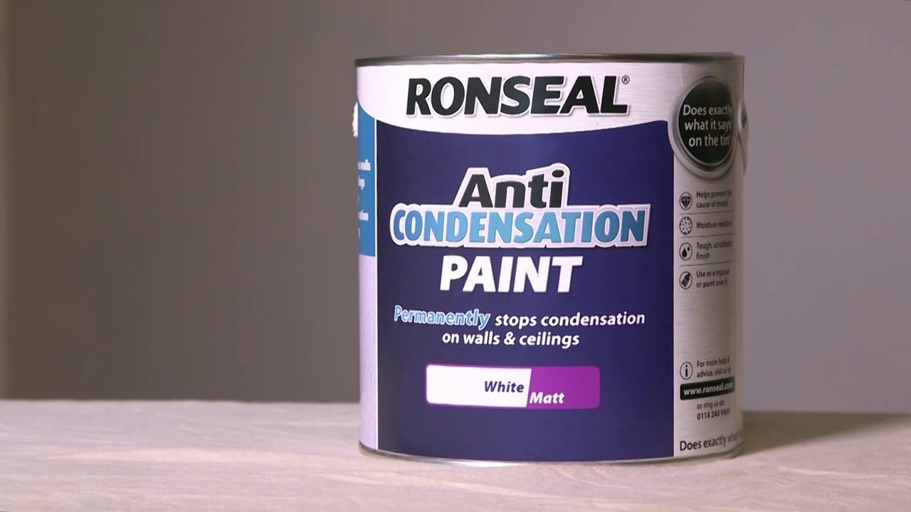 Anti Mould Paint & Anti Condensation Paint - Great Solution?