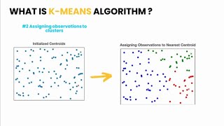Project 1: Penguin Data Clustering with K-Means, Silhouette Scores, and t-SNE | Machine Learning Net Worth