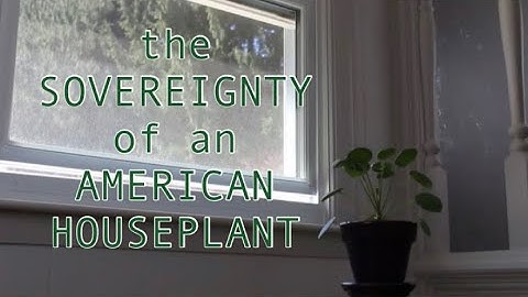 the SOVEREIGNTY of an AMERICAN HOUSEPLANT • 2021 • OUSOF • (AIFVF Official Selection 2022)