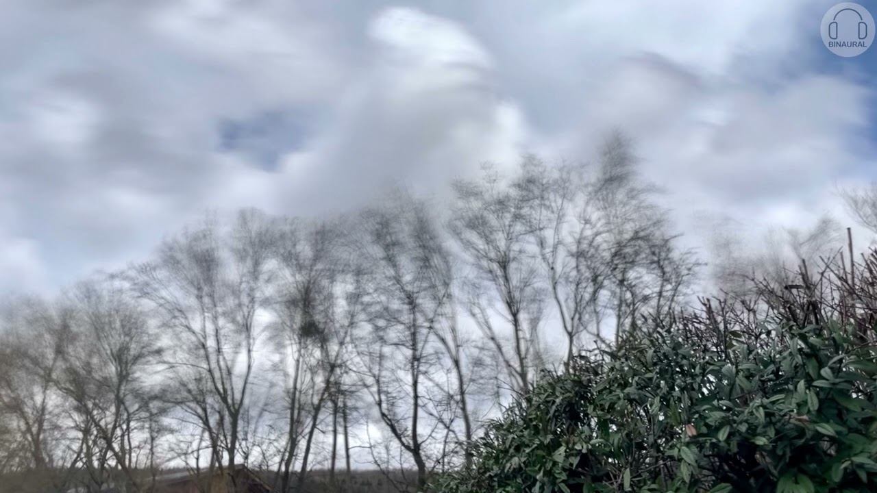 ASMR relaxing nature sound of naked wind [3d-binaural audio]