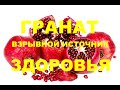 Эффективное лечение гранатом