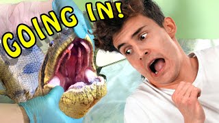 Man is EATEN BY A GIANT ANACONDA  For Science!