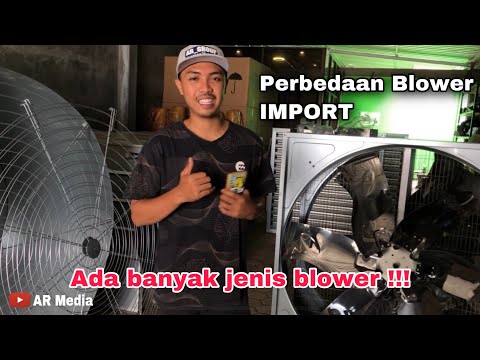 Video: Seberapa Berbahaya Daun Blower?