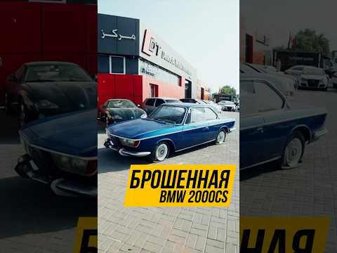 Видео: Брошенная BMW 2000cs. #bmw2000cs #classicbmw #bmwoldtimer