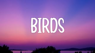 Imagine Dragons - Birds (Lyrics)