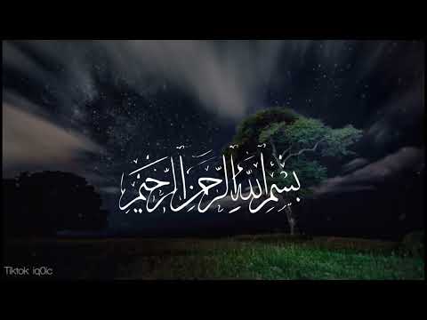 السيد سعيد || إِنَّ ٱللَّهَ يَعْلَمُ غَيْبَ ٱلسَّمَـٰوَٰتِ وَٱلْأَرْضِ