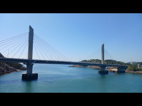 눈물의 부두 - 모리 마사코