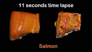 11 seconds time lapse  - #1 Salmon